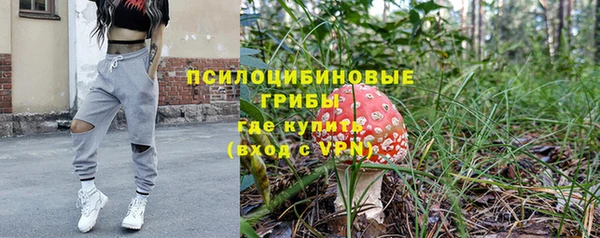 каннабис Алзамай