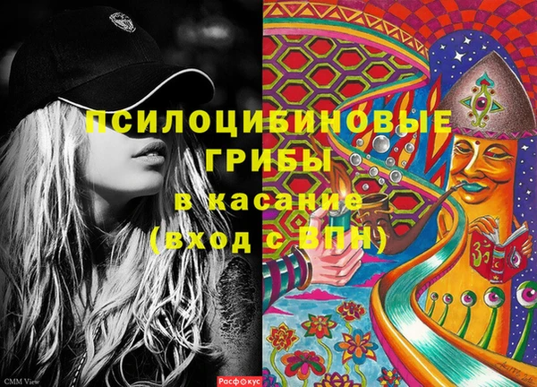 мдпв Алексин