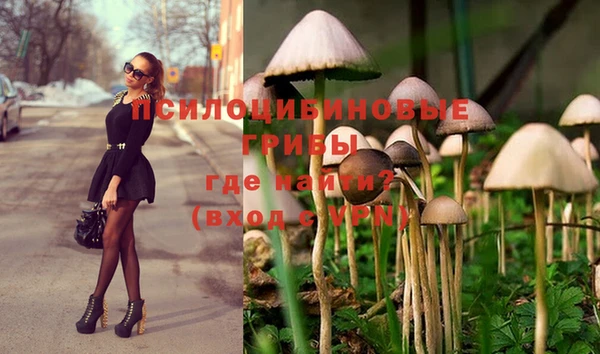 кристаллы Алексеевка