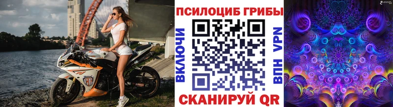 Галлюциногенные грибы прущие грибы  Кореновск 
